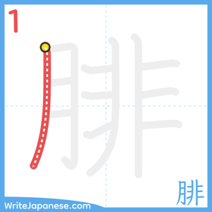 How to write "腓" - stroke 1