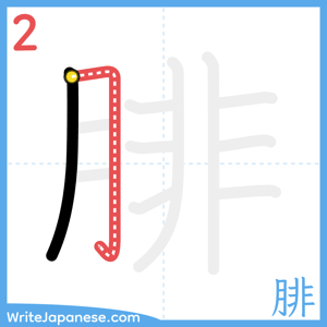 How to write "腓" - stroke 2