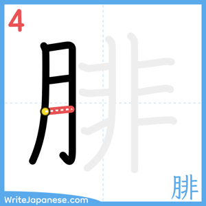 How to write "腓" - stroke 4