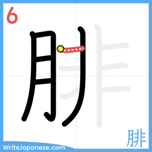 How to write "腓" - stroke 6