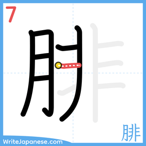 How to write "腓" - stroke 7