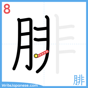 How to write "腓" - stroke 8
