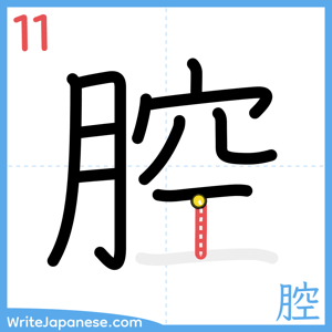 How to write "腔" - stroke 11