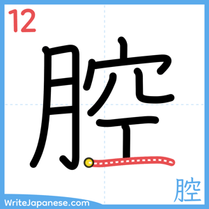 How to write "腔" - stroke 12