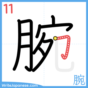 How to write "腕" - stroke 11