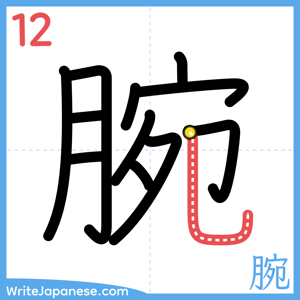 How to write "腕" - stroke 12