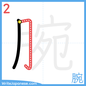 How to write "腕" - stroke 2