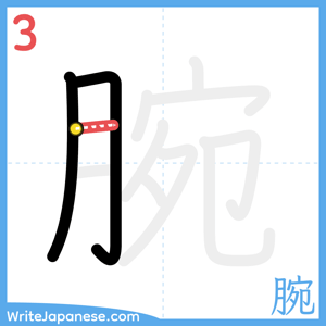 How to write "腕" - stroke 3