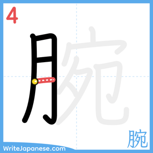 How to write "腕" - stroke 4