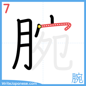 How to write "腕" - stroke 7