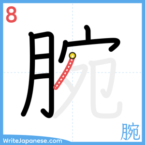 How to write "腕" - stroke 8