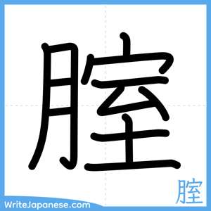 How to write "腟" - complete stroke order
