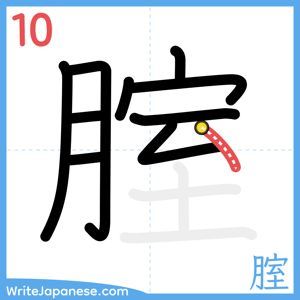 How to write "腟" - stroke 10