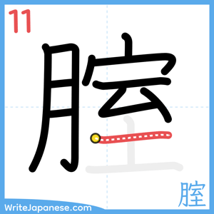 How to write "腟" - stroke 11