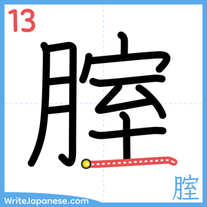 How to write "腟" - stroke 13