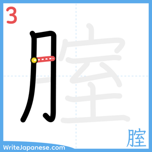 How to write "腟" - stroke 3