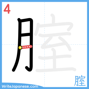 How to write "腟" - stroke 4
