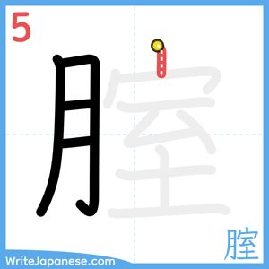 How to write "腟" - stroke 5