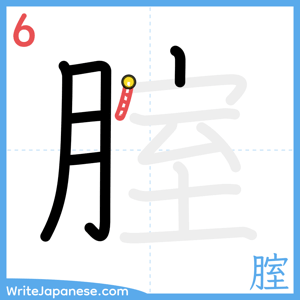 How to write "腟" - stroke 6