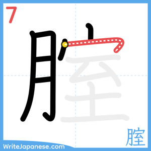 How to write "腟" - stroke 7