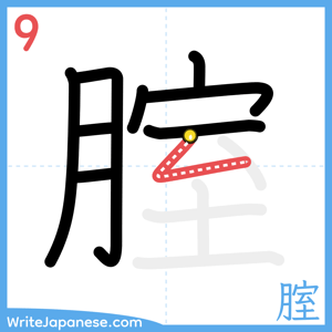 How to write "腟" - stroke 9