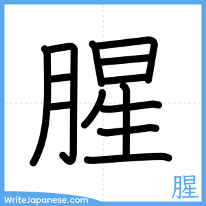 How to write "腥" - complete stroke order