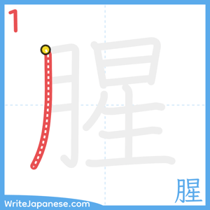 How to write "腥" - stroke 1