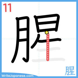 How to write "腥" - stroke 11