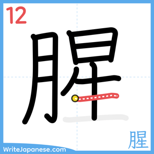 How to write "腥" - stroke 12