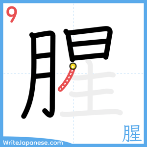 How to write "腥" - stroke 9