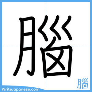 How to write "腦" - complete stroke order