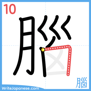 How to write "腦" - stroke 10
