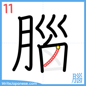 How to write "腦" - stroke 11