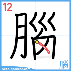 How to write "腦" - stroke 12