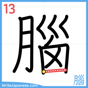 How to write "腦" - stroke 13