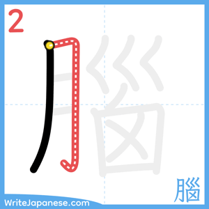 How to write "腦" - stroke 2