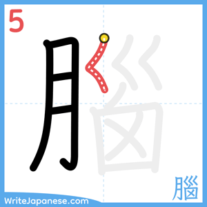 How to write "腦" - stroke 5