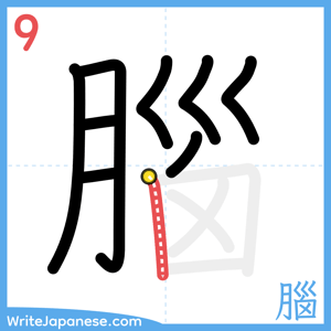 How to write "腦" - stroke 9
