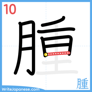 How to write "腫" - stroke 10