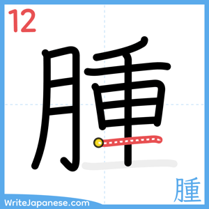 How to write "腫" - stroke 12