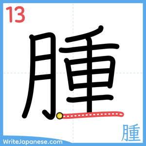 How to write "腫" - stroke 13