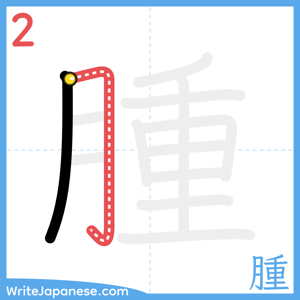 How to write "腫" - stroke 2