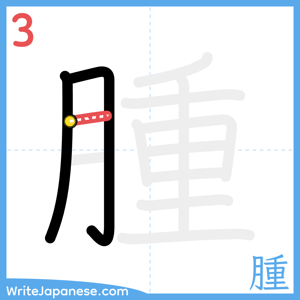 How to write "腫" - stroke 3