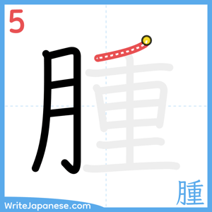 How to write "腫" - stroke 5