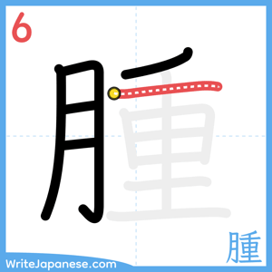 How to write "腫" - stroke 6