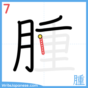 How to write "腫" - stroke 7
