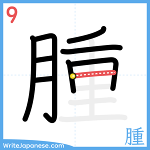 How to write "腫" - stroke 9