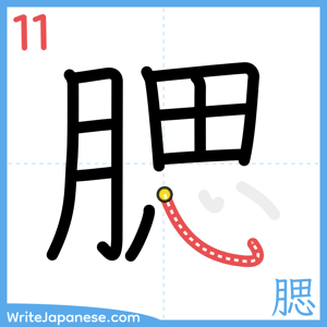 How to write "腮" - stroke 11