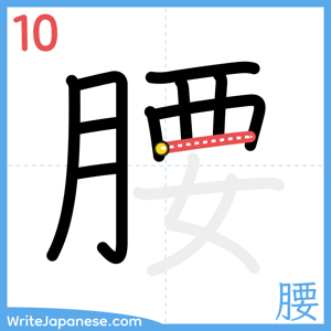 How to write "腰" - stroke 10