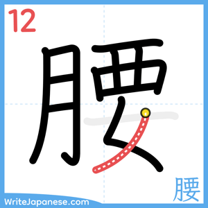 How to write "腰" - stroke 12